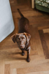 Dubbele eiken Milaan taatsdeur-OBLY-OBLY