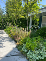 Hamptons tuin met modern zwembad en strakke belijning-The Green Fix-design tuin,exclusieve tuin,Hamptons stijl,Hamptons tuin,houten vlonder,luxe buitenleven,luxe tuin,moderne buitenruimte,natuurlijke beplanting,strakke tuin,The Green Fix,tuin met zwembad,zwembad tuin-OBLY