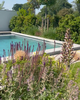 Hamptons tuin met modern zwembad en strakke belijning-The Green Fix-design tuin,exclusieve tuin,Hamptons stijl,Hamptons tuin,houten vlonder,luxe buitenleven,luxe tuin,moderne buitenruimte,natuurlijke beplanting,strakke tuin,The Green Fix,tuin met zwembad,zwembad tuin-OBLY
