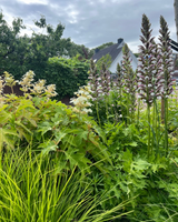 Hamptons tuin met modern zwembad en strakke belijning-The Green Fix-design tuin,exclusieve tuin,Hamptons stijl,Hamptons tuin,houten vlonder,luxe buitenleven,luxe tuin,moderne buitenruimte,natuurlijke beplanting,strakke tuin,The Green Fix,tuin met zwembad,zwembad tuin-OBLY