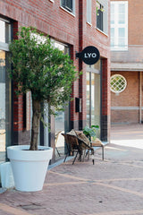 LYO Stijlboetiek: Van Concept tot Beleving in Oostburg-OBLY-Winkel-OBLY