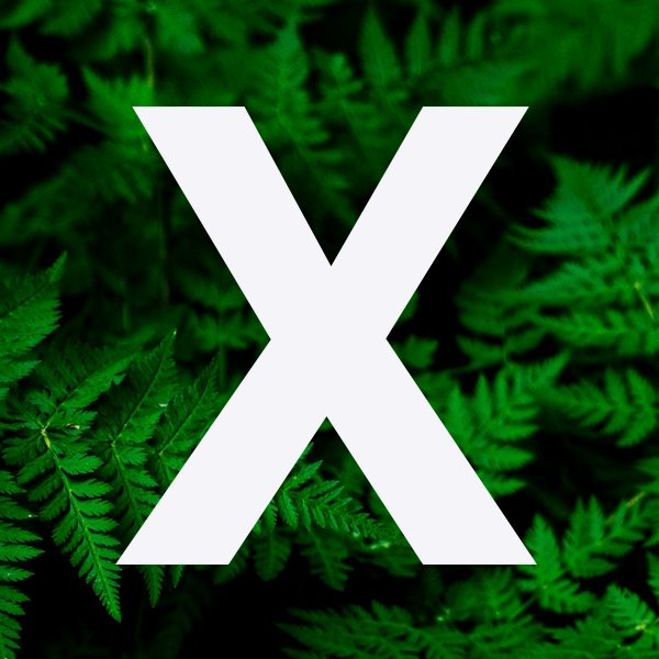 Logo van The Green Fix.