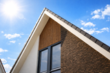 Moderne nieuwbouwwoning met houten aanbouw-Prowood-donker-metselwerk,eigentijdse-woning,Exterieur,gevelbekleding-hout,houten-aanbouw,houten-overkapping,moderne-architectuur,moderne-woning,nieuwbouwwoning,strak-ontwerp,wit-stucwerk-Moderne woning met houten aanbouw en garage-OBLY