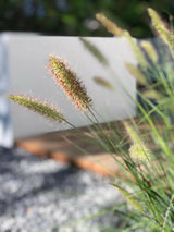 Moderne tuin met knusse zithoek-Lifs Interior Design-Tuin-moderne-tuin-met-knusse-zithoek-OBLY