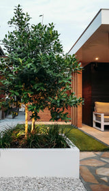 Natuurlijke elegantie ontmoet modern vakmanschap-Ruyg tuinen-Overkapping,Tuin-Natuurlijke elegantie ontmoet modern vakmanschap-OBLY