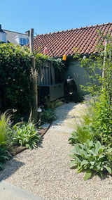 Natuurlijke stadstuin met organische beplanting-The Green Fix-biodiverse tuin,duurzame tuin,grindpad tuin,groene tuin,natuurlijke beplanting,natuurlijke stadstuin,onderhoudsvriendelijke tuin,organische tuin,siergrassen,stadstuin,staptegels tuin,The Green Fix,vaste planten-Natuurlijke stadstuin met organische beplanting | The Green Fix-OBLY