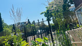 Natuurlijke stadstuin met organische beplanting-The Green Fix-biodiverse tuin,duurzame tuin,grindpad tuin,groene tuin,natuurlijke beplanting,natuurlijke stadstuin,onderhoudsvriendelijke tuin,organische tuin,siergrassen,stadstuin,staptegels tuin,The Green Fix,vaste planten-Natuurlijke stadstuin met organische beplanting | The Green Fix-OBLY