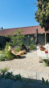 Natuurlijke stadstuin met organische beplanting-The Green Fix-biodiverse tuin,duurzame tuin,grindpad tuin,groene tuin,natuurlijke beplanting,natuurlijke stadstuin,onderhoudsvriendelijke tuin,organische tuin,siergrassen,stadstuin,staptegels tuin,The Green Fix,vaste planten-Natuurlijke stadstuin met organische beplanting | The Green Fix-OBLY