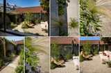 Natuurlijke stadstuin met organische beplanting-The Green Fix-biodiverse tuin,duurzame tuin,grindpad tuin,groene tuin,natuurlijke beplanting,natuurlijke stadstuin,onderhoudsvriendelijke tuin,organische tuin,siergrassen,stadstuin,staptegels tuin,The Green Fix,vaste planten-Natuurlijke stadstuin met organische beplanting | The Green Fix-OBLY