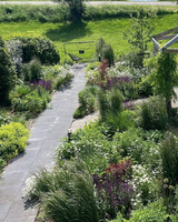 Natuurlijke tuin aan de Amstel met weelderige beplanting-The Green Fix-biodiverse tuin,bloemenborder,duurzame tuin,exclusieve tuin,luxe tuin,natuurlijke beplanting,natuurlijke tuin,organische tuin,Piet Oudolf tuin,The Green Fix,tuin aan de Amstel,weelderige borders-Natuurlijke tuin aan de Amstel | The Green Fix-OBLY