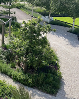 Natuurlijke tuin aan de Amstel met weelderige beplanting-The Green Fix-biodiverse tuin,bloemenborder,duurzame tuin,exclusieve tuin,luxe tuin,natuurlijke beplanting,natuurlijke tuin,organische tuin,Piet Oudolf tuin,The Green Fix,tuin aan de Amstel,weelderige borders-Natuurlijke tuin aan de Amstel | The Green Fix-OBLY