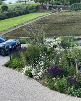 Natuurlijke tuin aan de Amstel met weelderige beplanting-The Green Fix-biodiverse tuin,bloemenborder,duurzame tuin,exclusieve tuin,luxe tuin,natuurlijke beplanting,natuurlijke tuin,organische tuin,Piet Oudolf tuin,The Green Fix,tuin aan de Amstel,weelderige borders-Natuurlijke tuin aan de Amstel | The Green Fix-OBLY