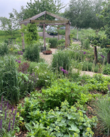 Natuurlijke tuin aan de Amstel met weelderige beplanting-The Green Fix-biodiverse tuin,bloemenborder,duurzame tuin,exclusieve tuin,luxe tuin,natuurlijke beplanting,natuurlijke tuin,organische tuin,Piet Oudolf tuin,The Green Fix,tuin aan de Amstel,weelderige borders-Natuurlijke tuin aan de Amstel | The Green Fix-OBLY