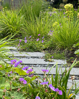 Natuurlijke tuinrenovatie aan monumentaal park in Amstelveen-The Green Fix-biodiverse tuin,Canadees leisteen,duurzame tuin,exclusieve tuin,inheemse beplanting,krentenbomen,luxe tuin,monumentale tuin,natuurlijke tuin,Schellevis beton,The Green Fix,tuinrenovatie,tuinrenovatie Amstelveen-Tuinrenovatie aan monumentaal park | The Green Fix-OBLY