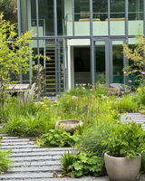 Natuurlijke tuinrenovatie aan monumentaal park in Amstelveen-The Green Fix-biodiverse tuin,Canadees leisteen,duurzame tuin,exclusieve tuin,inheemse beplanting,krentenbomen,luxe tuin,monumentale tuin,natuurlijke tuin,Schellevis beton,The Green Fix,tuinrenovatie,tuinrenovatie Amstelveen-Tuinrenovatie aan monumentaal park | The Green Fix-OBLY