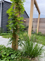 Nieuwbouw tuin in Weespersluis met pergola en speelse beplanting-GreenPien-groene nieuwbouw tuin,houten pergola tuin,moderne gezinstuin,nieuwbouw tuin,tuin,tuin weespersluis,tuinontwerp nieuwbouwwoning-Nieuwbouw tuin Weespersluis met pergola-OBLY