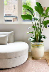 Renovatie woonhuis met maatwerk interieur-NMBR7-benedenverdieping,Familiehuis,Heemstede,indelingsplan,Interieur inspiratie,Interieurontwerp,Keuken,kleuradvies,Lichtplan,Maatwerk,Maatwerk interieur,materiaaladvies,meubels,renovatie woonhuis,styling,totaalontwerp,Woningrenovatie,Woonkamer-Renovatie woonhuis Heemstede | NMBR7-OBLY