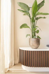 Totaalrenovatie jaren '50 hoekhuis-OBLY-Keuken,Woonkamer-OBLY