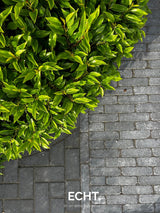 Moderne achtertuin met organische beplanting