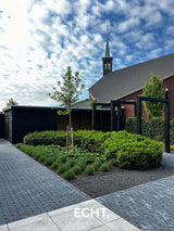 Moderne achtertuin met organische beplanting