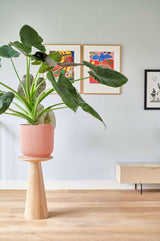 Twee Stijlen, Eén Gezellig Thuis-OBLY-Twee Stijlen, Eén Thuis | Creëer Harmonie in Je Interieur-OBLY