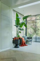 Villa 1898 met moderne serre-Villa18 Interieur design-Woonkamer-Unieke villa uit 1898 – karaktervol wonen met moderne luxe-OBLY