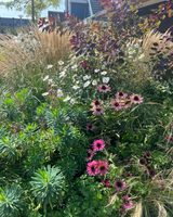 Villatuin aan natuurgebied in Amstelveen-The Green Fix-biodiversiteit,landschappelijke tuin,luxe tuin,moderne villatuin,natuurlijke beplanting,natuurlijke tuin,organische borders,siergrassen,terrassen,The Green Fix,tuin aan natuurgebied,vaste planten,villatuin,villatuin Amstelveen-Villatuin aan natuurgebied in Amstelveen | The Green Fix-OBLY