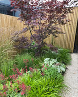 Villatuin aan natuurgebied in Amstelveen-The Green Fix-biodiversiteit,landschappelijke tuin,luxe tuin,moderne villatuin,natuurlijke beplanting,natuurlijke tuin,organische borders,siergrassen,terrassen,The Green Fix,tuin aan natuurgebied,vaste planten,villatuin,villatuin Amstelveen-Villatuin aan natuurgebied in Amstelveen | The Green Fix-OBLY