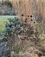 Villatuin aan natuurgebied in Amstelveen-The Green Fix-biodiversiteit,landschappelijke tuin,luxe tuin,moderne villatuin,natuurlijke beplanting,natuurlijke tuin,organische borders,siergrassen,terrassen,The Green Fix,tuin aan natuurgebied,vaste planten,villatuin,villatuin Amstelveen-Villatuin aan natuurgebied in Amstelveen | The Green Fix-OBLY