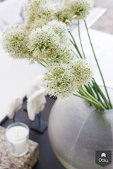 Appartement aan Zee-Grego Design Studio-alle,Woonkamer-OBLY