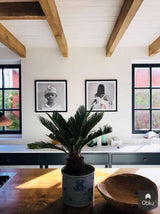 Beach house-DBD Interiors-alle,Keuken-OBLY