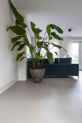 Beton ciré vloer-Willem Designvloeren B.V.-beton cire,beton ciré vloer,betonlook vloer,gietvloer alternatief,grijze vloer,Keuken,keuken vloer,moderne woning,naadloze vloer,onderhoudsvriendelijke vloer,strak interieur-Betonvloer ciré in een grijze kleur-OBLY