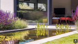 Biodiversiteit in strakke tuin-Stoop Tuinen-alle,Tuinen-OBLY