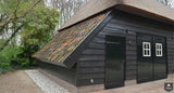 Boerderij met bijgebouw, rieten dak en bakstenen gevel-Architectenbureau Drijvers Oisterwijk B.V.-alle,bakstenen gevel,bijgebouw,Exterieur vrijstaand,landelijke architectuur,renovatie,rieten dak-Boerderij met bijgebouw en rieten dak | Drijvers-OBLY