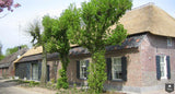 Boerderij met bijgebouw, rieten dak en bakstenen gevel-Architectenbureau Drijvers Oisterwijk B.V.-alle,bakstenen gevel,bijgebouw,Exterieur vrijstaand,landelijke architectuur,renovatie,rieten dak-Boerderij met bijgebouw en rieten dak | Drijvers-OBLY