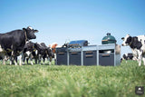 Buitenkeukens en barbecues van STEEL-Steel Cucine-alle,Keuken-OBLY