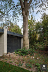 Complete renovatie met aanbouw-Benerink Architecten-alle,Exterieur vrijstaand-OBLY