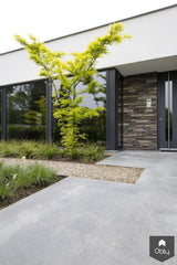 Gevlinderd betonnen terras en oprit-Willem Designvloeren B.V.-alle,Tuinen-OBLY