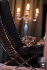 Inrichting en indeling Loft Amsterdam-Cris van Amsterdam-alle,Woonkamer-OBLY