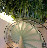 Jungle in Amsterdams appartement-EeStairs-alle,Entree hal trap-OBLY