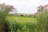 Landelijke tuin op Texel-Jeroen Hamers Tuin- en Landschaparchitect-alle,Tuinen-OBLY