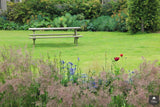 Landelijke tuin op Texel-Jeroen Hamers Tuin- en Landschaparchitect-alle,Tuinen-OBLY