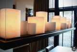 Luxe woonkamer stalen deuren Amsterdam-Ecker Interieur-alle,Woonkamer-OBLY