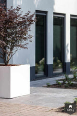 Moderne villa, Wijchen-Bob Romijnders Architectuur - Interieur-alle,Exterieur vrijstaand-OBLY