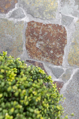Multicolour flagstones roest-tint-Van den Heuvel & Van Duuren-Tuin-Multicolour flagstones met roest-tinten-OBLY