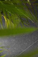 Natuursteen look Bleue Silk-Van den Heuvel & Van Duuren-Woonkamer-Neolith Pierre Bleue Silk-OBLY