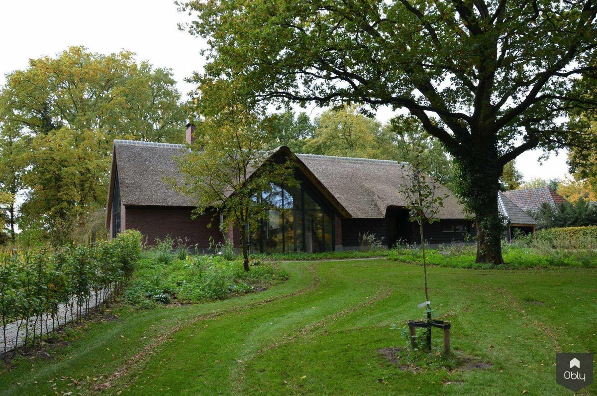 Nieuwbouw boswoning met rieten dak en natuurlijke materialen-Architectenbureau Drijvers Oisterwijk B.V.-alle,bosvilla,Exterieur vrijstaand,landelijke architectuur,natuurlijke materialen,nieuwbouw,rieten dak,wonen in het groen-Nieuwbouw boswoning met rieten dak | Drijvers Oisterwijk-OBLY