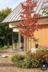 Nieuwbouw dijkwoning met split level-Van Os Architecten-alle,Exterieur vrijstaand-OBLY