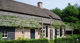 Nieuwbouw traditionele boerderij met rieten dak-Architectenbureau Drijvers Oisterwijk B.V.-alle,bakstenen gevel,Exterieur vrijstaand,landelijke architectuur,nieuwbouw,rieten dak,traditionele boerderij,vrijstaande woning-OBLY