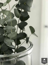 Nieuwbouw woning met verhoogde plafonds-Barbara Roest-alle,Woonkamer-OBLY